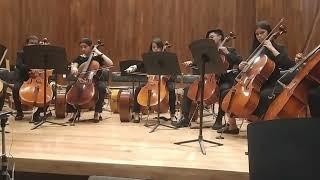 Encuentro: "Entorno al violoncello 2022" - Facultad de Música FaM UNAM - Orquesta de Cellos