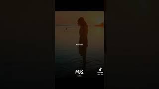 LILY ALAN WALKER, Violin Sounds Mixs ( Shorts Video #)