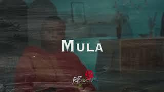(FREE) Fmg x Equalz x Figo Gang Type Beat 2024 - ''Mula'' - @ProdRpBeats