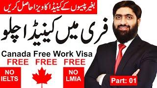Canada Free Work Visa, HOW TO GET FREE VISA FOR CANADA, Without LMIA and IELTS, No Education, Canada