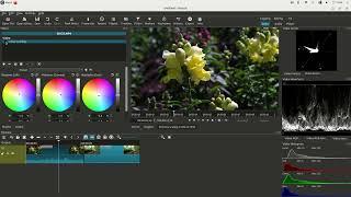 Color Correcting Shot Cut Video Editor 2022  V 22.06