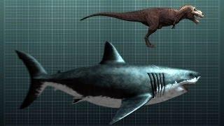 The Nightmarish Megalodon | Sharkzilla -- Shark Week