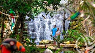 Шкарет парк, Мексика - Xcaret park, Mexico