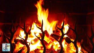 Soothing Fire Sounds  Relaxing Fireplace for Sleep & Study  (NO MUSIC)