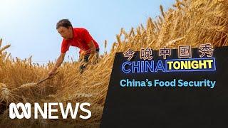 China is facing a growing food security problem | China Tonight | ABC News