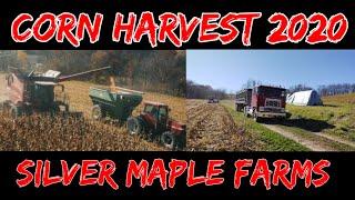 Corn Harvest 2020 at Silver Maple Farms