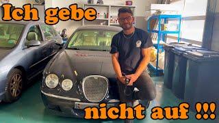 Er wurde eigentlich für TOT erklärt aber ich habe ihn gerettet ^^ Jaguar S-Type - Polo - Audi