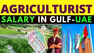 Agriculture Jobs Salary in UAE I Agriculture Engineer jobs Salary in Gulf  Countries