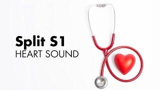 Split S1 - Heart Sounds - MEDZCOOL