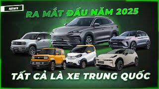 6 chiếc xe "Rộ tin" ra mắt đầu năm 2025: Geely, Zeekr gia nhập thị trường; BYD đổi hướng đi ... !