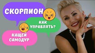 Мужчина Скорпион - Как управлять? Научу! Гороскоп Кащея!