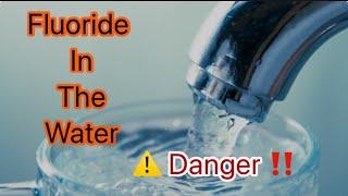 Fluoride in the Water: What is the Science?