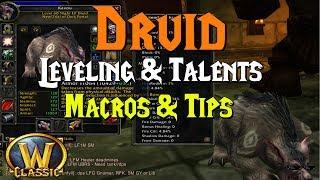 WoW Classic - Feral Druid Tips for Leveling & Macros & Talents