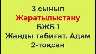 3 сынып Жаратылыстану 2-тоқсан БЖБ-1 Жанды табиғат. Адам