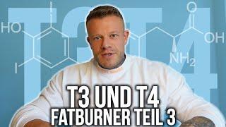 T3 und T4 - Schilddrüsenhormone, Dünn aber Flach? | Fatburner Teil 3