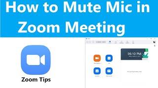 how to mute mic on zoom | Automatically Mute Mic When Joining Zoom Meeting