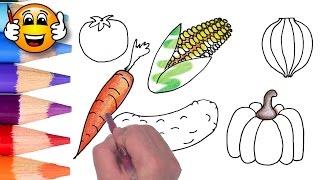 Coloring Pages For Kids Vegetables Corn Pumpkin | Coloring for Kids | Bibabibo