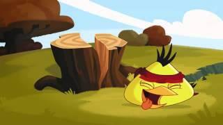 Angry birds toons Chucked out clip