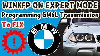 Winkfp On Expert Mode Programming BMW GM Transmission For X3 E83