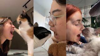 Open your mouth and see what your cat does | #tiktok