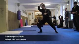 Shurikenjutsu Seminar | Throwing shuriken from various positions