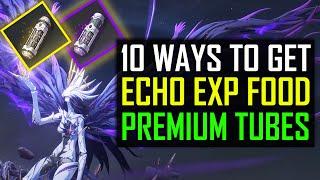 10 WAYS TO OBTAIN ECHO EXP FOOD Wuthering Waves Guide