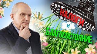 Как налоги влияют на наше благосостояние? Михаил Чернышев