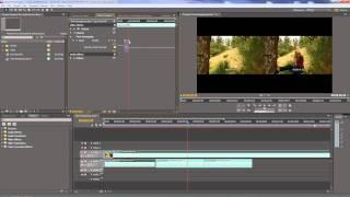 Premiere Pro - Using Speed/Duration and Time Remapping to change clip speed