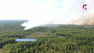 Лесные пожары 2021