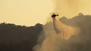 Aerial Firefighting Simulation