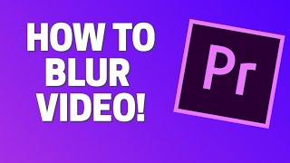 How To Blur Part of Video In Premiere pro