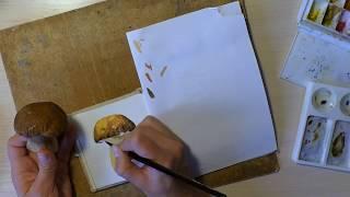 Картина акварелью Гриб-боровик. Watercolor speed painting.