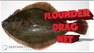 Flounder Drag Fishing Net *For Sale*