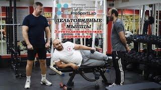 СТАТОДИНАМИКА. Упражнения на дельтовидные мышцы