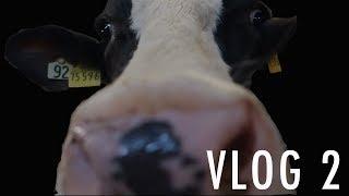 VLOG 2 - Technik?