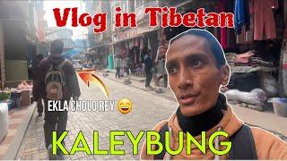 Choeten Ko Shung Linu Kaleybung Gayiyo||PYT Vlogs…