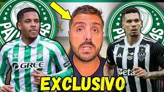 EXCLUSIVO NICOLA TRAZ AS PRINCIPAIS ATUALIZAÇÕES DO PALMEIRAS NESSE DOMINGO! NOTÍCIA IMPORTANTE