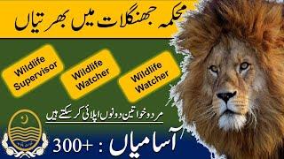 Punjab Wildlife and Parks Department Jobs 2024 | Wildlife Jobs 2024 | New Jobs In Pakistan