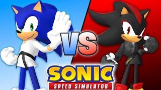 KARATE SONIC & SHADOW JOIN SONIC SPEED SIMULATOR!