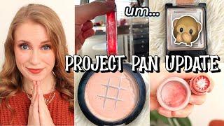 PROJECT PAN UPDATE: I did NOT see this coming  // November 2021 Update (Rolling Project 10 Pan)