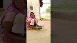 गांवों में गेहूं साफ करने का तरीका। Method of cleaning wheat in now. #ytshorts ##new #trending