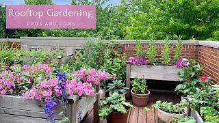 Rooftop Gardening Pros & Cons | Container Gardening