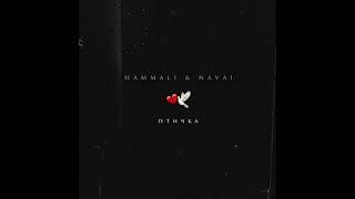 HammAli & Navai - Птичка (текст con Traducción del ruso al español)