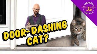 Tips on helping prevent Door-Dashing cats!