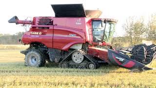 CaseIH Axial-Flow 8250 AFS rice e MacDon D125