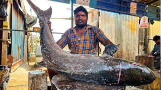 KASIMEDU  MR UMESH | 45 KG BIGG SEA VIRAL FISH CUTTING VIDEO | IN KASIMEDU | FF CUTTING 