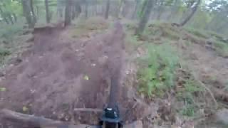 quarantine ride around Harrogate-Hookstone Woods-Pannal