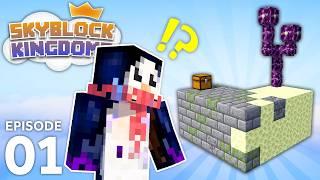 Minecraft's FIRST Skyblock SMP! | Skyblock Kingdoms