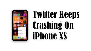 How to fix Twitter that keeps crashing on iPhone XS after iOS 13.5 update