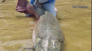 Massive alligator gar caught in Texas breaks world record